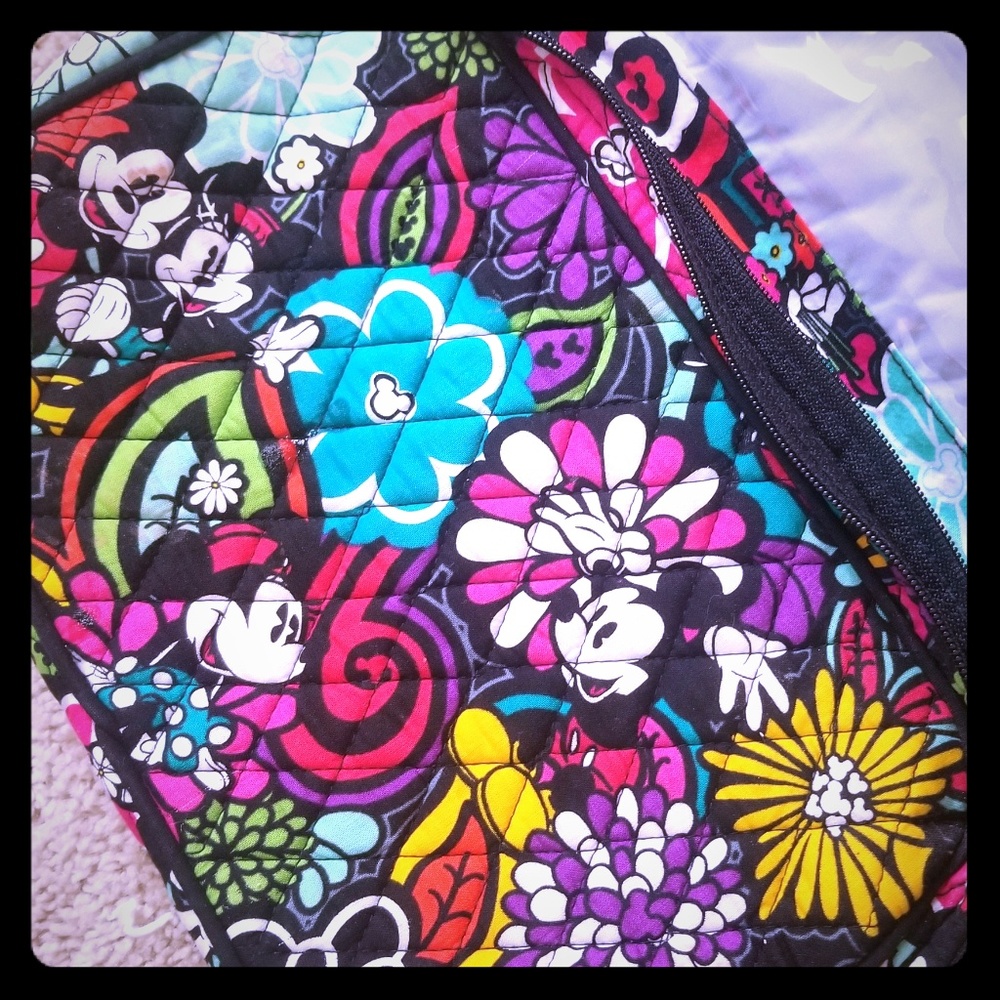 Disney organizer